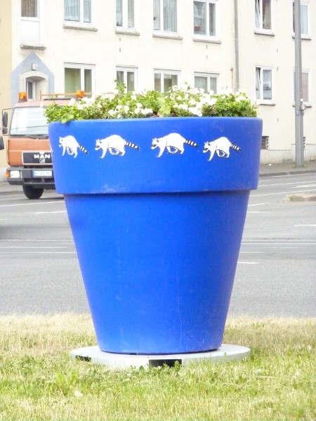 Blau-violetter Blumentopf auf der Kreuzung am Holländischen Platz